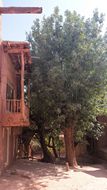 Pueblo de Abyaneh