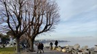 Desenzano del Garda