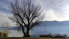 Lago de Iseo