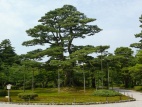 Jardin Kenroku-en