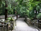 Kasuga Taisha