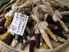 Miya-gawa
