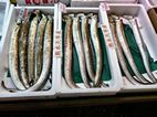 Tsukiji Market