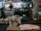 Tsukiji Market
