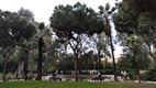 Jardines Sanayeh