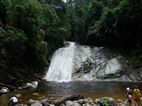 Lata Berembun