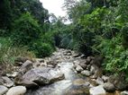 En camino a Lata Berembun