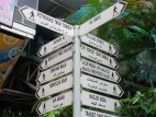 Cruce de caminos