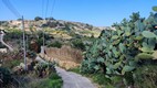 Carretera en el interior de la isla