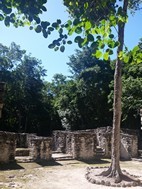 Ruinas mayas de Calakmul