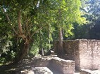 Ruinas mayas de Calakmul