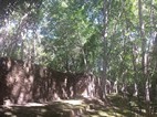 Ruinas mayas de Calakmul