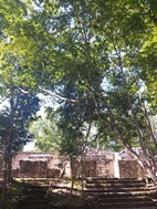 Ruinas mayas de Calakmul
