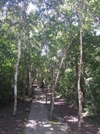 Ruinas mayas de Calakmul