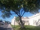 Murallas frente al malecón