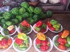 Mercado de Campeche