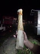 Marquesita yucateca