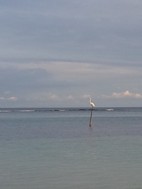 Mahahual, un lugar mágico del Caribe mejicano