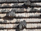 Ruinas mayas de Uxmal