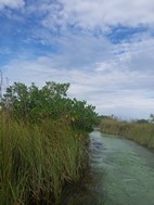 Reserva de la Biosfera de Sian Ka'an