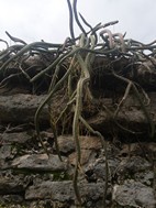 Reserva de la Biosfera de Sian Ka'an