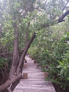 Reserva de la Biosfera de Sian Ka'an