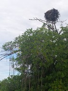 Reserva de la Biosfera de Sian Ka'an