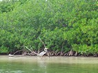 Reserva de la Biosfera de Sian Ka'an