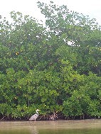 Reserva de la Biosfera de Sian Ka'an