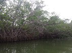 Reserva de la Biosfera de Sian Ka'an