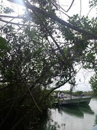 Reserva de la Biosfera de Sian Ka'an