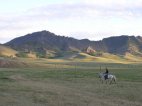 Passejades a cavall