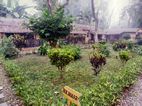 Island Jungle Resort