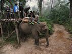 Elephant treking