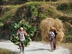 Trekking a Dhampus