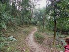 Trekking a Dhampus