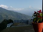 Tha Hotel Orchid and Restaurant