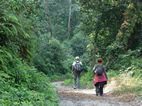 Trekking a Dhampus