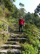 Descenso desde Dhampus a Naudanda
