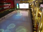 Dubai Rink, Dubai Mall