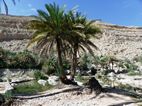 Wadi Bani Khalid