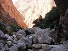 Wadi Shab