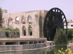 Norias, Hama