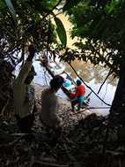 Reserva Nacional Pacaya Samiria