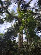 Excursión desde Puesto Camotal