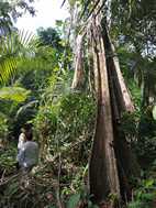 Excursión desde Puesto Camotal