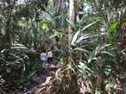 Excursión desde Puesto Camotal