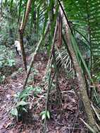 Excursión desde Puesto Camotal