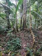 Excursión desde Puesto Camotal