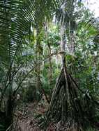 Excursión desde Puesto Camotal
